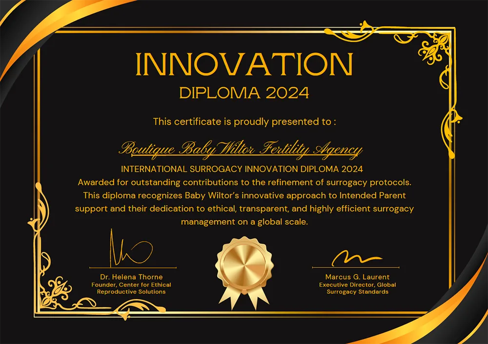 Innovation Diploma 2024 — Baby Wiltor