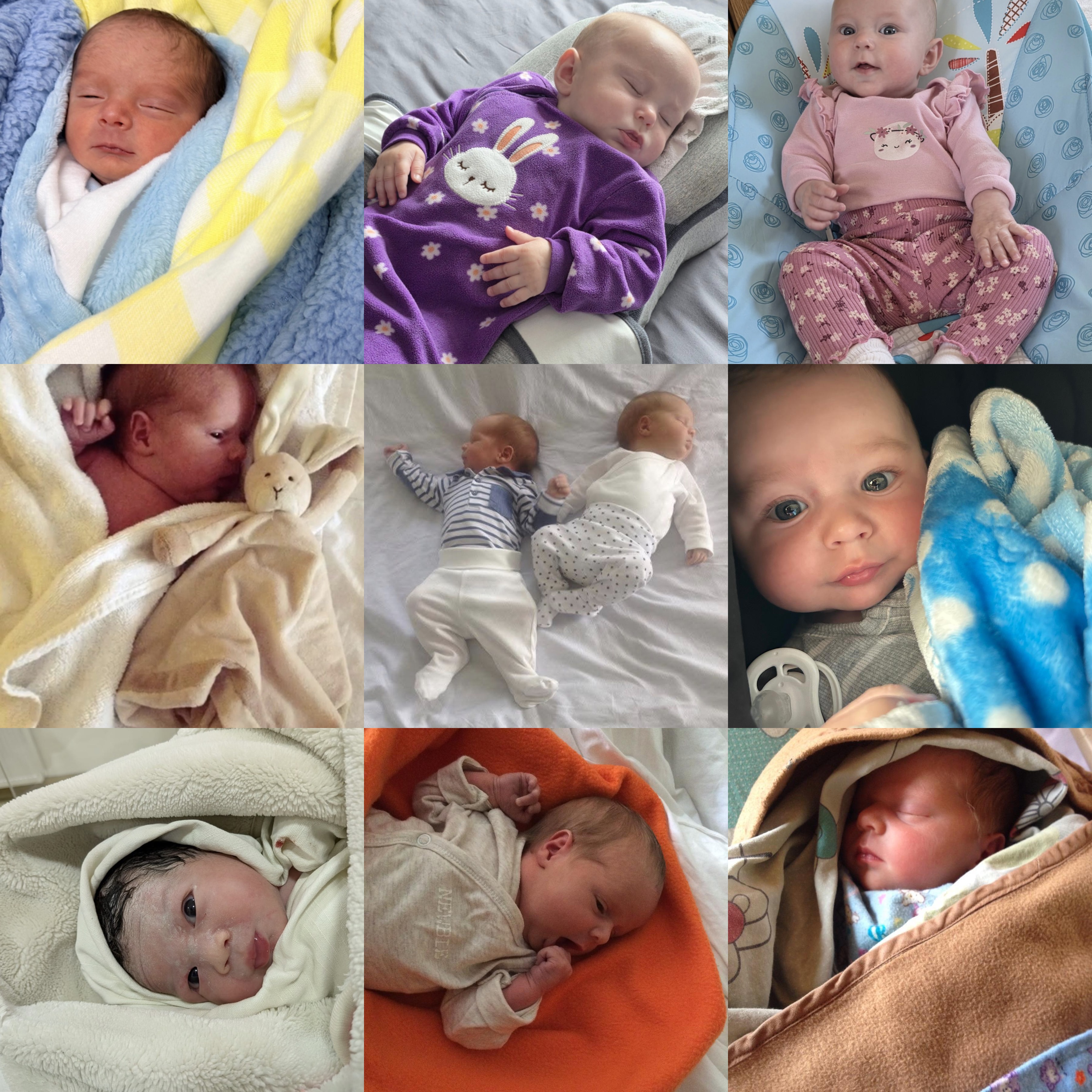 Baby Wiltor family story collage